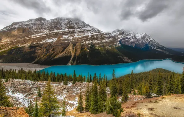 Forest, the sky, trees, mountains, clouds, lake, stones, rocks