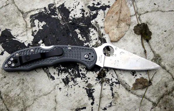Picture stones, knife, spyderco, delica 4