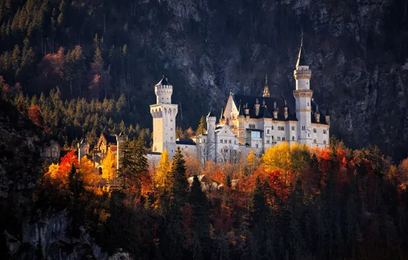 Autumn, forest, color, light, landscape, mountains, the dark background, castle