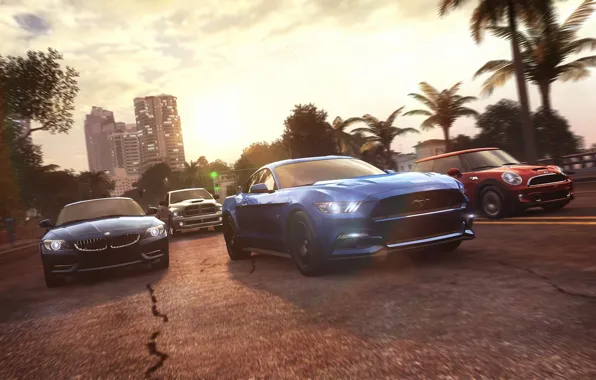 Picture palm trees, race, Mustang, Ford, Mini, Cooper, BMW, Ubisoft