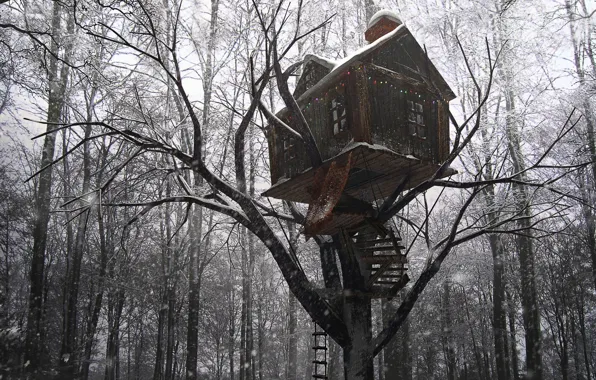 Forest, snow, trees, building, Tree House