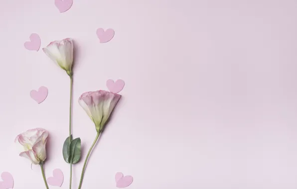 Flowers, background, pink, hearts, love, pink, flowers, hearts