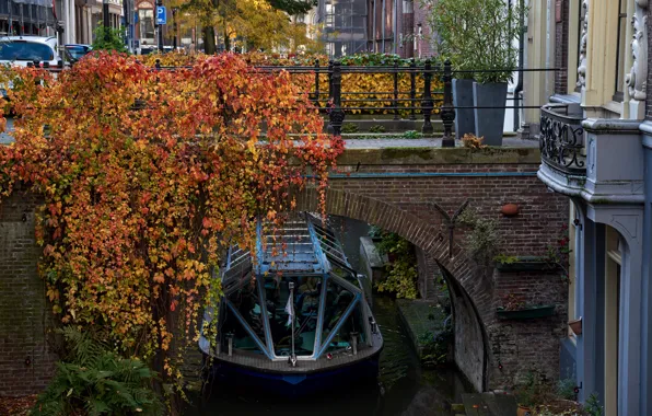 Road, autumn, leaves, trees, machine, bridge, the city, street