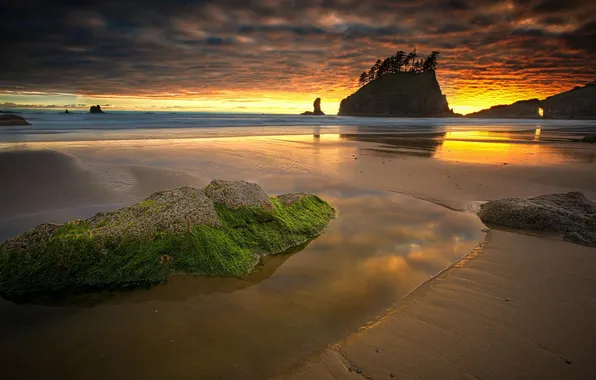 Sand, beach, trees, the ocean, rocks, dawn, Washington, Olympic National Park