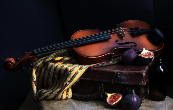 Music, Violin, Figs