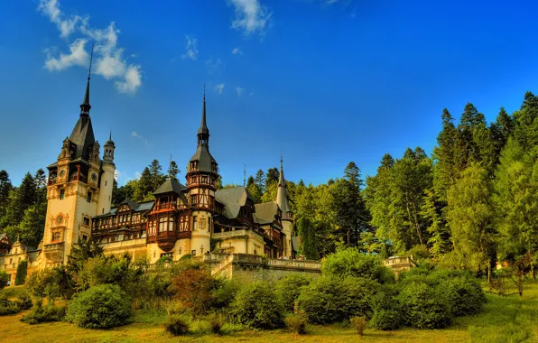 Forest, the sky, trees, house, castle, tower