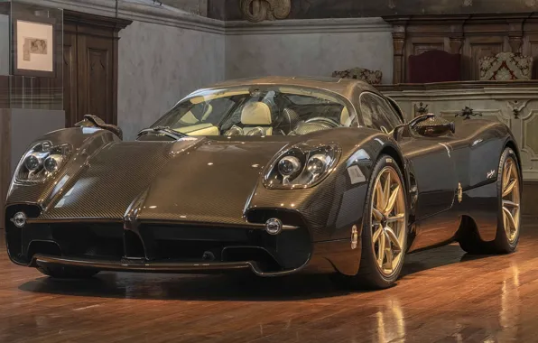 Picture Pagani, Carbon, Utopia