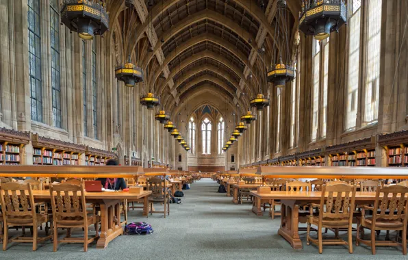 Lights, people, tables, lighting, chairs, public library