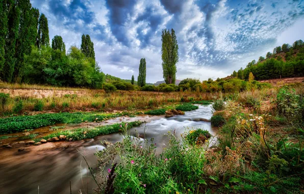 Clouds, trees, space, river, Spain, river, trees, clouds