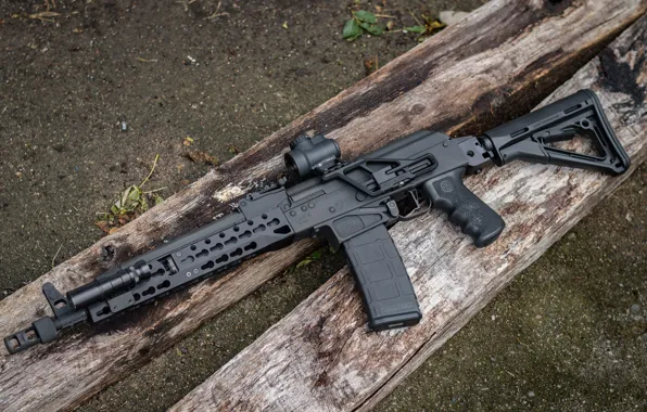 Picture the gun, carabiner, Saiga, self-loading