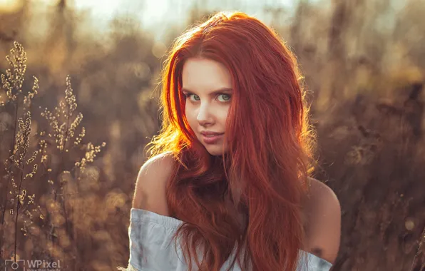 Look, girl, face, hair, portrait, red, shoulders, redhead