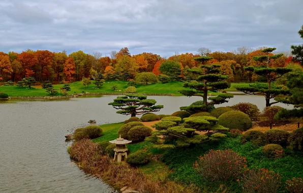 Autumn, grass, trees, design, pond, Park, Chicago, USA