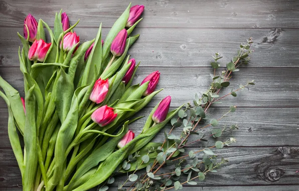 Picture flowers, bouquet, tulips, pink