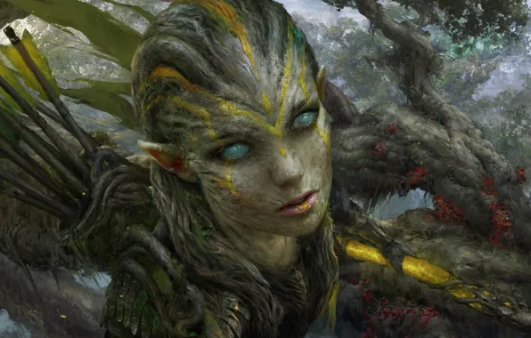 Elf, arrows, hunter, blind eyes