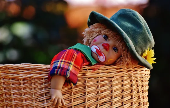 Flower, basket, toy, the game, doll, clown, tear