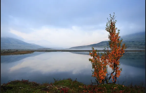 Picture Norway, Norway, Hedmark County, Blæsterdalen