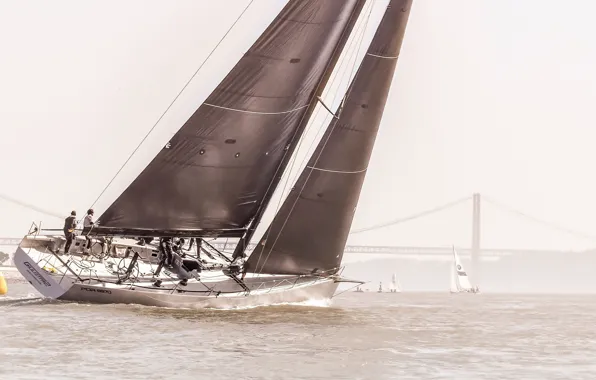 The wind, team, sails, course, the Bay of San Francisco, sports yacht, Racer yacht, racing …