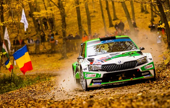 Picture Racer, Car, Rally, Rally, Skoda, Hungary, Hungary, Skoda