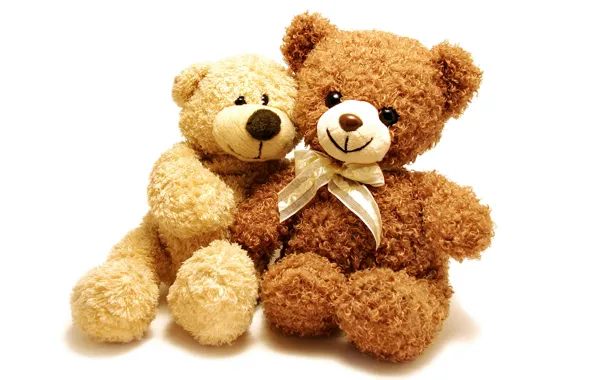 Toy, bear, pair, plush, toy, bear, cute, Teddy