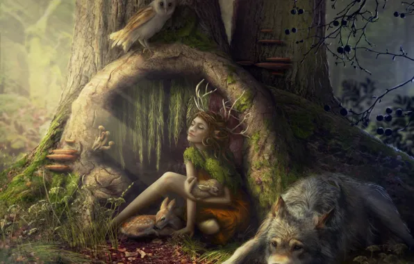 Animals, girl, nymph