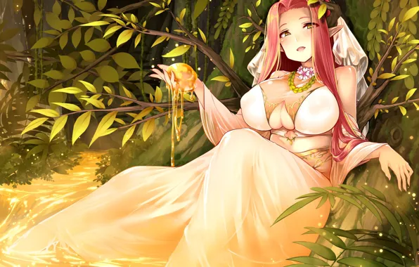 Girl, Elf, Anime, Honey