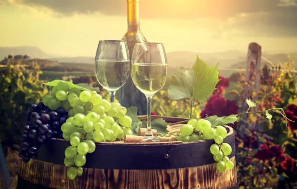 Picture landscape, wine, bottle, glasses, grapes, tube, barrel