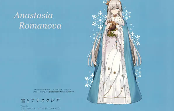 Snowflakes, mantle, characters, the voodoo doll, long white hair, Fate / Grand Order, The destiny …