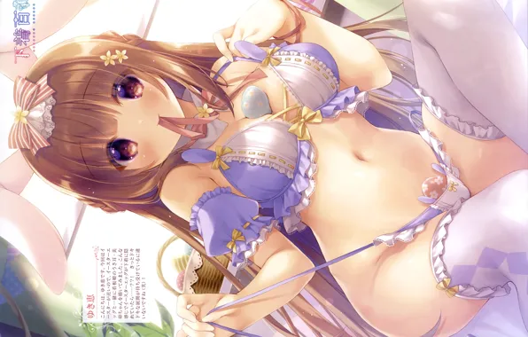 Characters, bows, underwear, Easter eggs, thingies, white stockings, basket with eggs, easter bunny