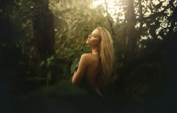 Forest, girl, back, TJ Drysdale, Dream On
