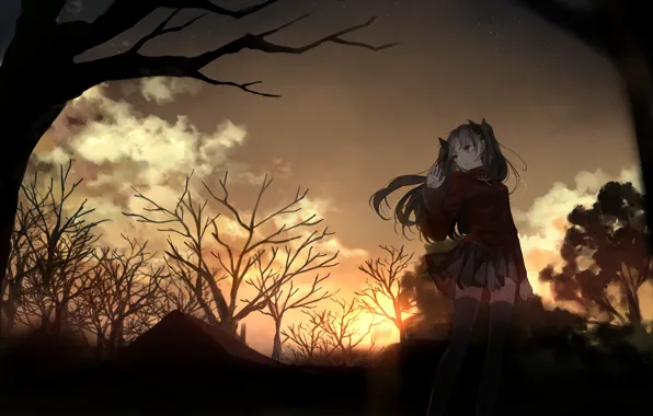 Girl, trees, the evening, Rin, Tohsaka Rin, Fate stay night, Fate / Stay Night