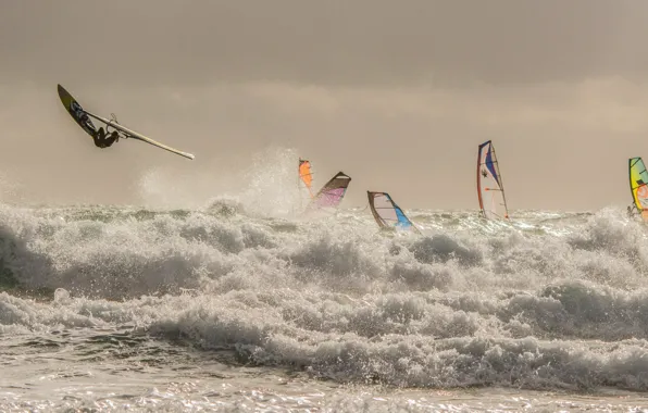 Sea, wave, the wind, sail, Board, regatta, Windsurfing