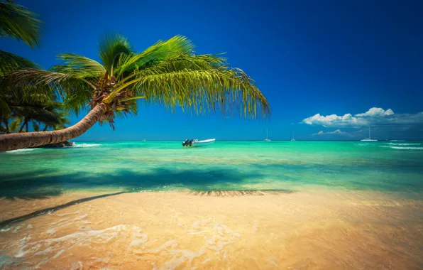 Nature, stay, island, islands