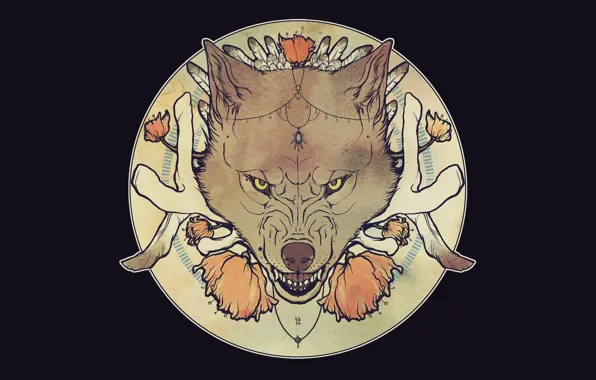 Face, wolf, mouth, grin