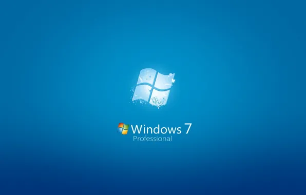 Widescreen, 1920 x 1200, Windows 7 Professional