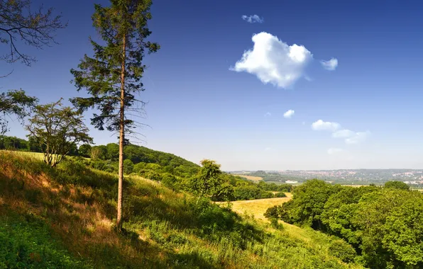 Picture greens, the sky, grass, clouds, trees, hills, England