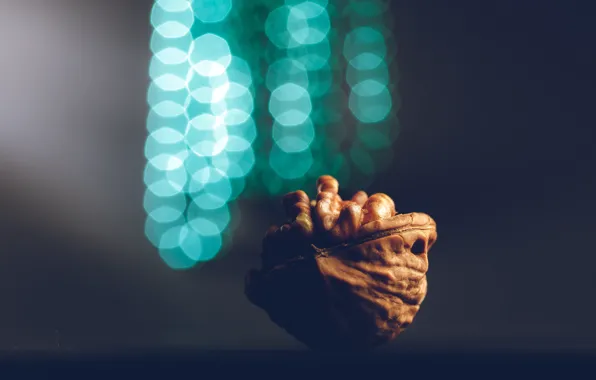 Macro, glare, bokeh, walnut