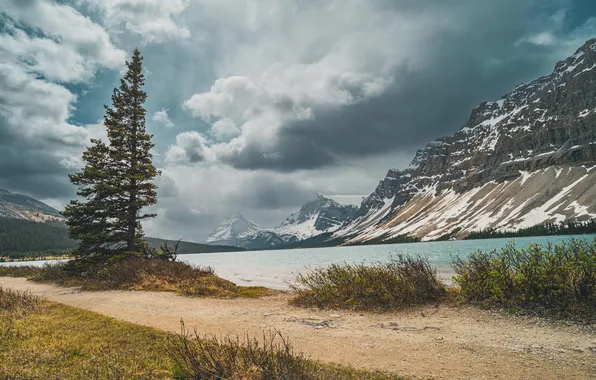 Picture Alberta, Canada, beach, sky, trees, landscape, nature, water