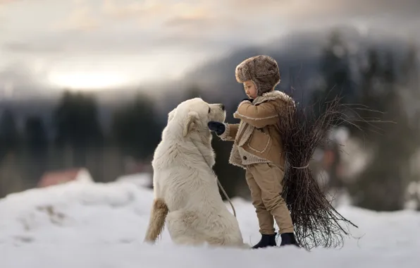 Picture winter, dog, boy