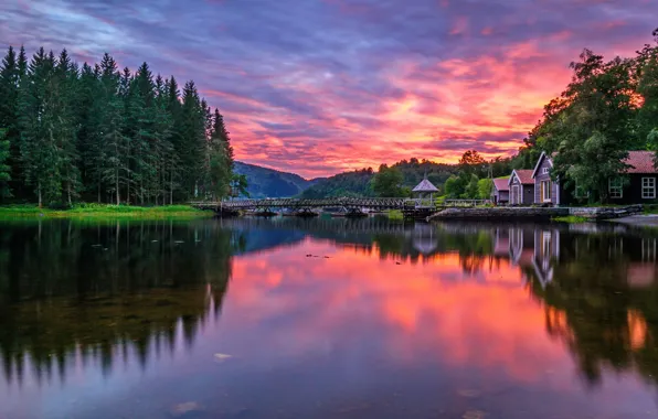 Picture forest, bridge, river, home, morning, Norway, dawn, Rogaland