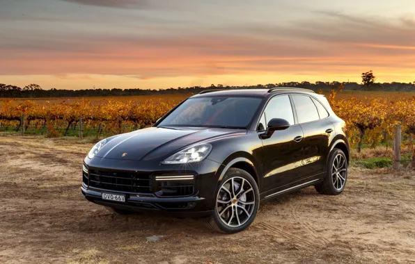 Picture sunset, Porsche, Turbo, 2018, Cayenne, crossover