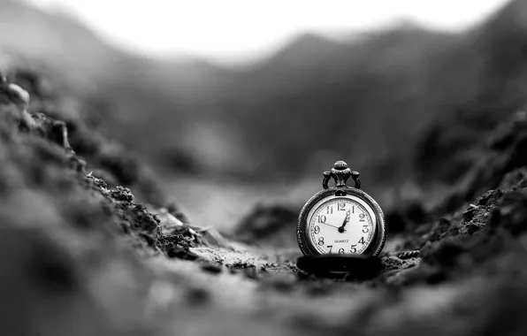 Macro, background, widescreen, black and white, Wallpaper, watch, wallpaper, different