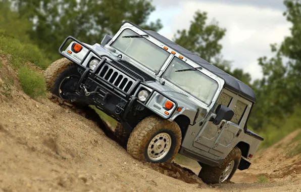 Trees, silver, hammer, jeep, SUV, hummer, offroad, bias