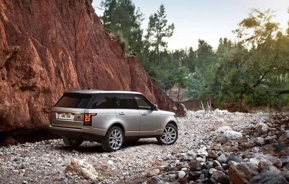 Trees, rock, silver, jeep, SUV, Land Rover, Range Rover, rear view