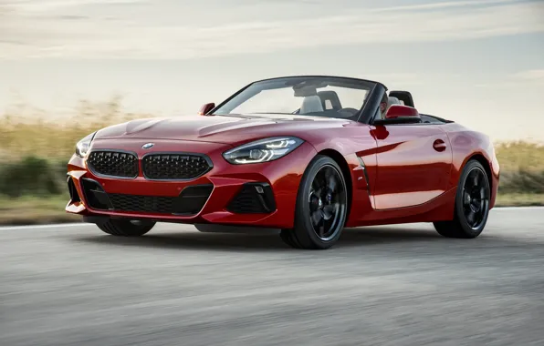 Picture road, grass, red, BMW, Roadster, BMW Z4, First Edition, M40i