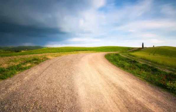 Picture road, summer, perspective