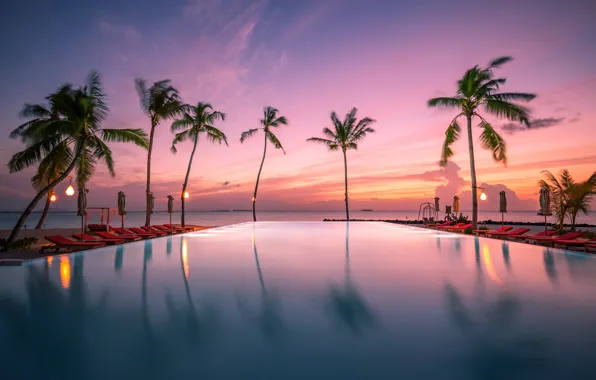 Sunset, tropics, palm trees, the ocean, pool, Maldives, The Indian ocean, Indian Ocean