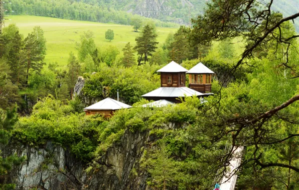 Picture greens, trees, mountains, branches, bridge, rocks, field, houses