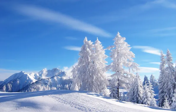 Winter, the sky, snow, mountains, tree