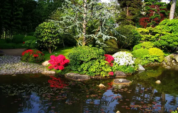 Picture trees, flowers, pond, France, Paris, garden, the bushes, Albert-Kahn Japanese gardens