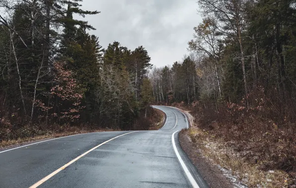 Picture road, autumn, forest